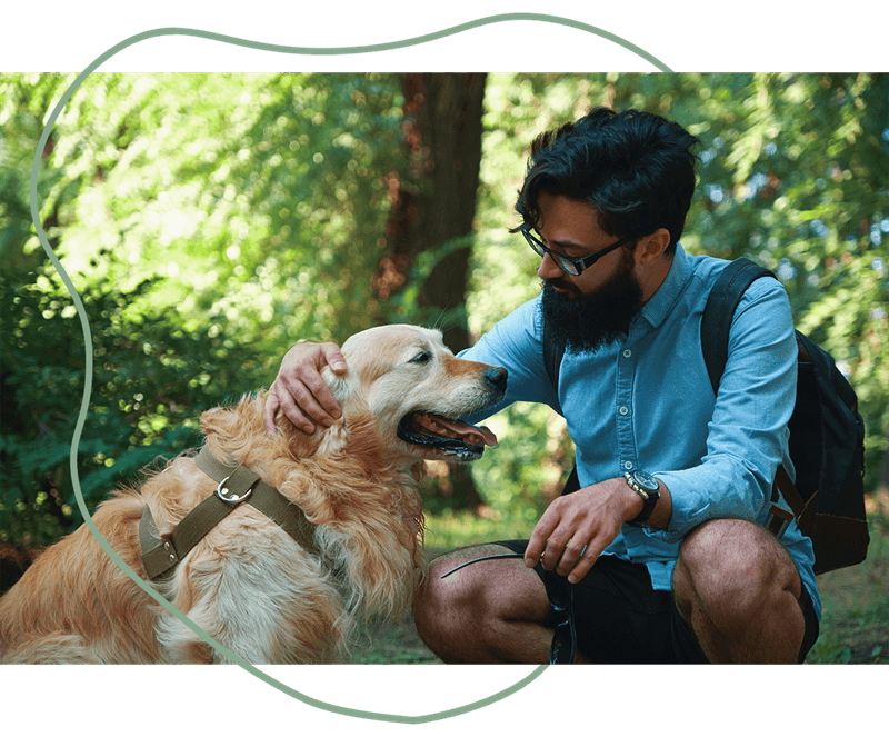 pet policies